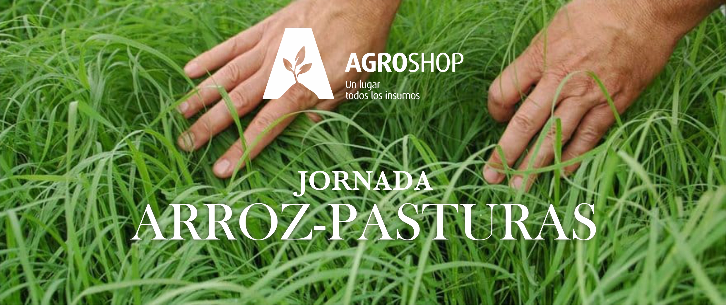 Jornada Arroz Pasturas PGG WRIGHTSON SEEDS