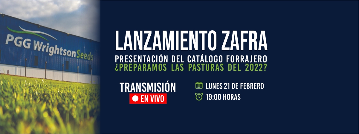 LANZAMIENTO ZAFRA