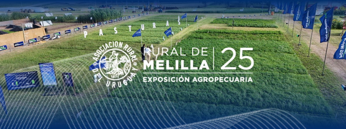EXPO MELILLA 2025